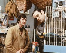 Picture of Michael Palin in Monty Python's Flying Circus