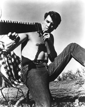 ROCK HUDSON PRINTS AND POSTERS 105166