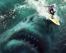 THE MEG PRINTS AND POSTERS 202868
