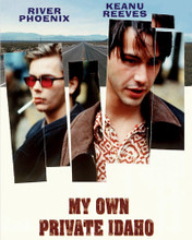 MY OWN PRIVATE IDAHO PRINTS AND POSTERS 202870