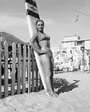 SHARON TATE PRINTS AND POSTERS 104946