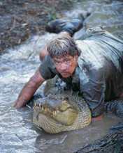 STEVE IRWIN PRINTS AND POSTERS 203090