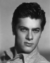 TONY CURTIS PRINTS AND POSTERS 105226