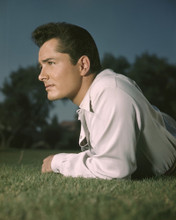 JOHN DEREK PRINTS AND POSTERS 203033