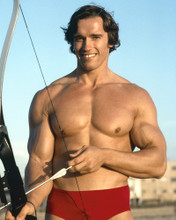 ARNOLD SCHWARZENEGGER PRINTS AND POSTERS 202898