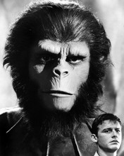 PLANET OF THE APES (TV) PRINTS AND POSTERS 105508