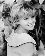 HAYLEY MILLS PRINTS AND POSTERS 105293