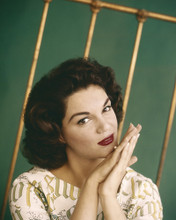 CONNIE FRANCIS PRINTS AND POSTERS 203037