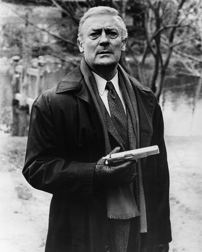 Picture of Edward Woodward in The Equalizer