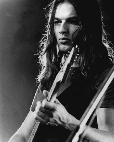 Pink Floyd Posters and Photos 105889 | Movie Store