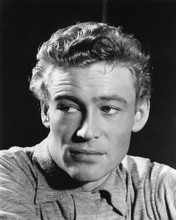 Picture of Peter O'Toole