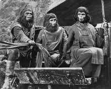 Picture of Kim Hunter in Planet of the Apes