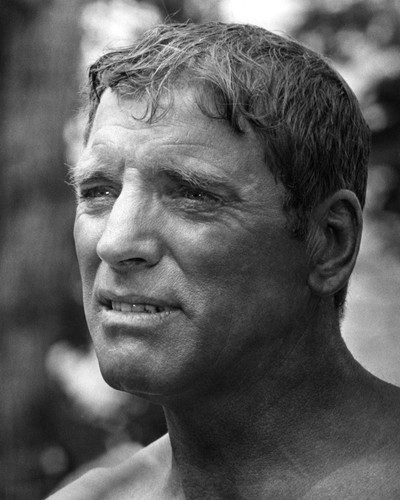 Picture of Burt Lancaster in The Swimmer