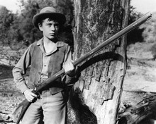Picture of Tommy Kirk in Old Yeller