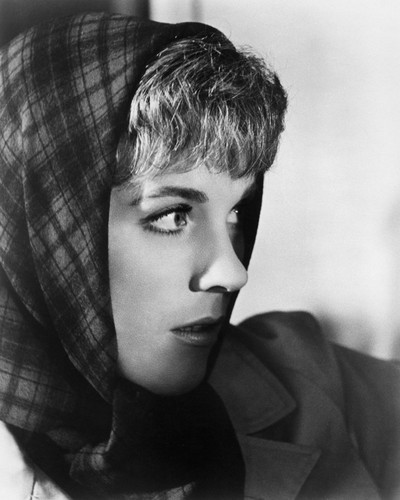 Picture of Julie Andrews in Torn Curtain