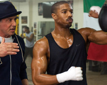 Picture of Sylvester Stallone in Creed II