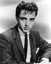 SAL MINEO PRINTS AND POSTERS 106194