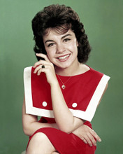 ANNETTE FUNICELLO PRINTS AND POSTERS 203337