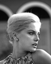 VIRNA LISI PRINTS AND POSTERS 106058