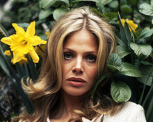 BRITT EKLAND PRINTS AND POSTERS 203342