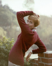 JULIE ANDREWS PRINTS AND POSTERS 203610