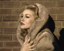 JULIE NEWMAR PRINTS AND POSTERS 203611
