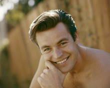 ROBERT WAGNER PRINTS AND POSTERS 203625