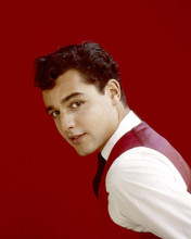 SAL MINEO PRINTS AND POSTERS 203505