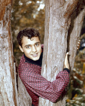 SAL MINEO PRINTS AND POSTERS 203515