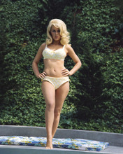 STELLA STEVENS PRINTS AND POSTERS 203554