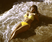 RAQUEL WELCH PRINTS AND POSTERS 203408
