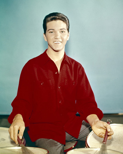 Picture of Paul Petersen in The Donna Reed Show