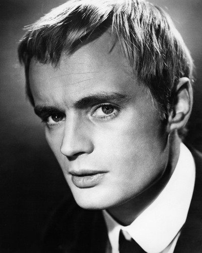 David McCallum The Man From U.N.C.L.E. Posters And Photos 106239 ...