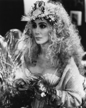 Picture of Cher  in Mermaids