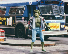Picture of Lou Ferrigno in The Incredible Hulk