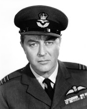 Picture of Ray Milland in High Flight