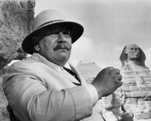 Picture of Peter Ustinov in Death on the Nile