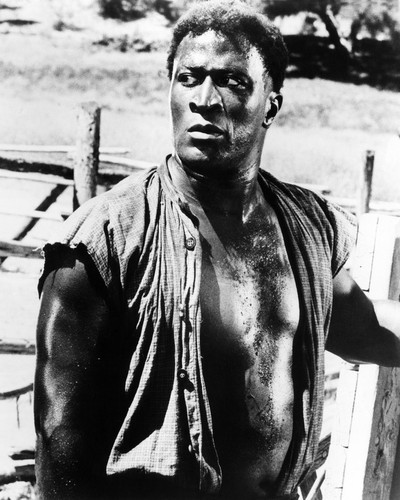 John Amos Roots Posters And Photos 106431 Movie Store john-amos-roots-posters-and-photos-106431-movie-store