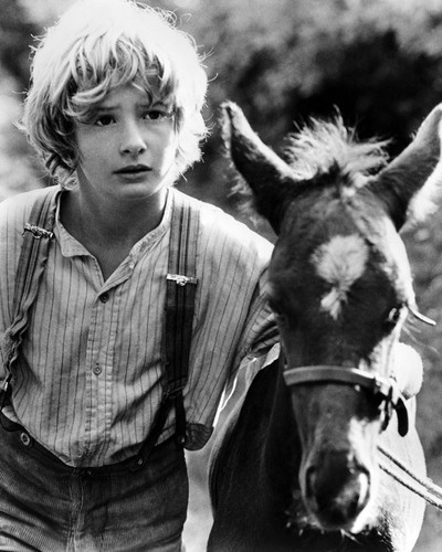 Picture of Mark Lester in Black Beauty