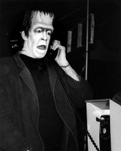 Picture of Fred Gwynne in The Munsters