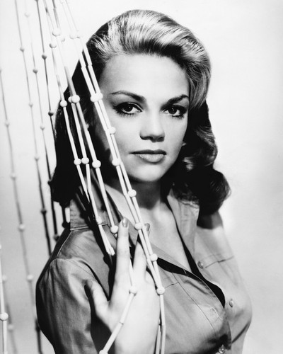 Picture of Dyan Cannon