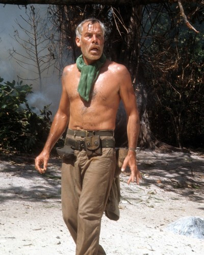 Picture of Lee Marvin