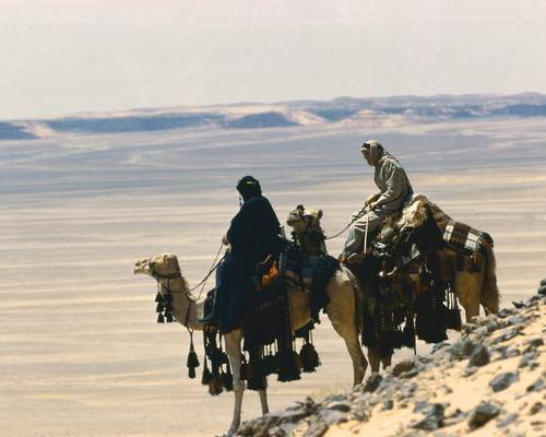 Picture of Lawrence of Arabia