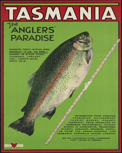 Picture of Tasmania The Anglers' Paradise