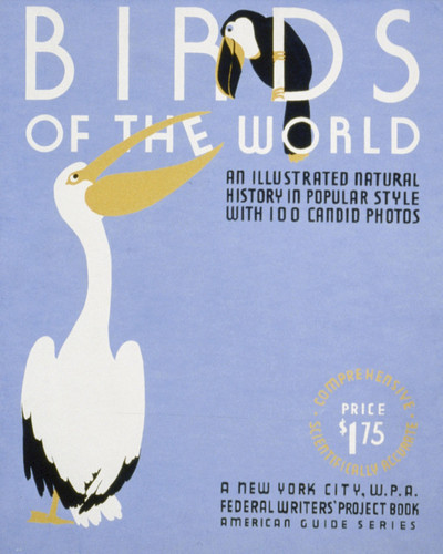 Picture of Birds of the World