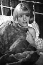Picture of Judy Geeson in Prudence and the Pill