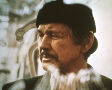 Picture of Charles Bronson in Death Wish II