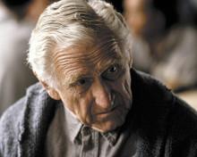 Picture of James Whitmore in The Shawshank Redemption