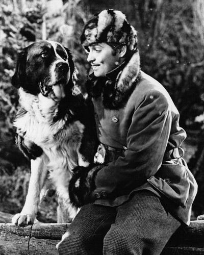 Picture of Clark Gable in Call of the Wild