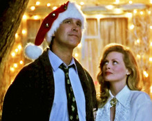 Picture of Chevy Chase in National Lampoon's Christmas Vacation